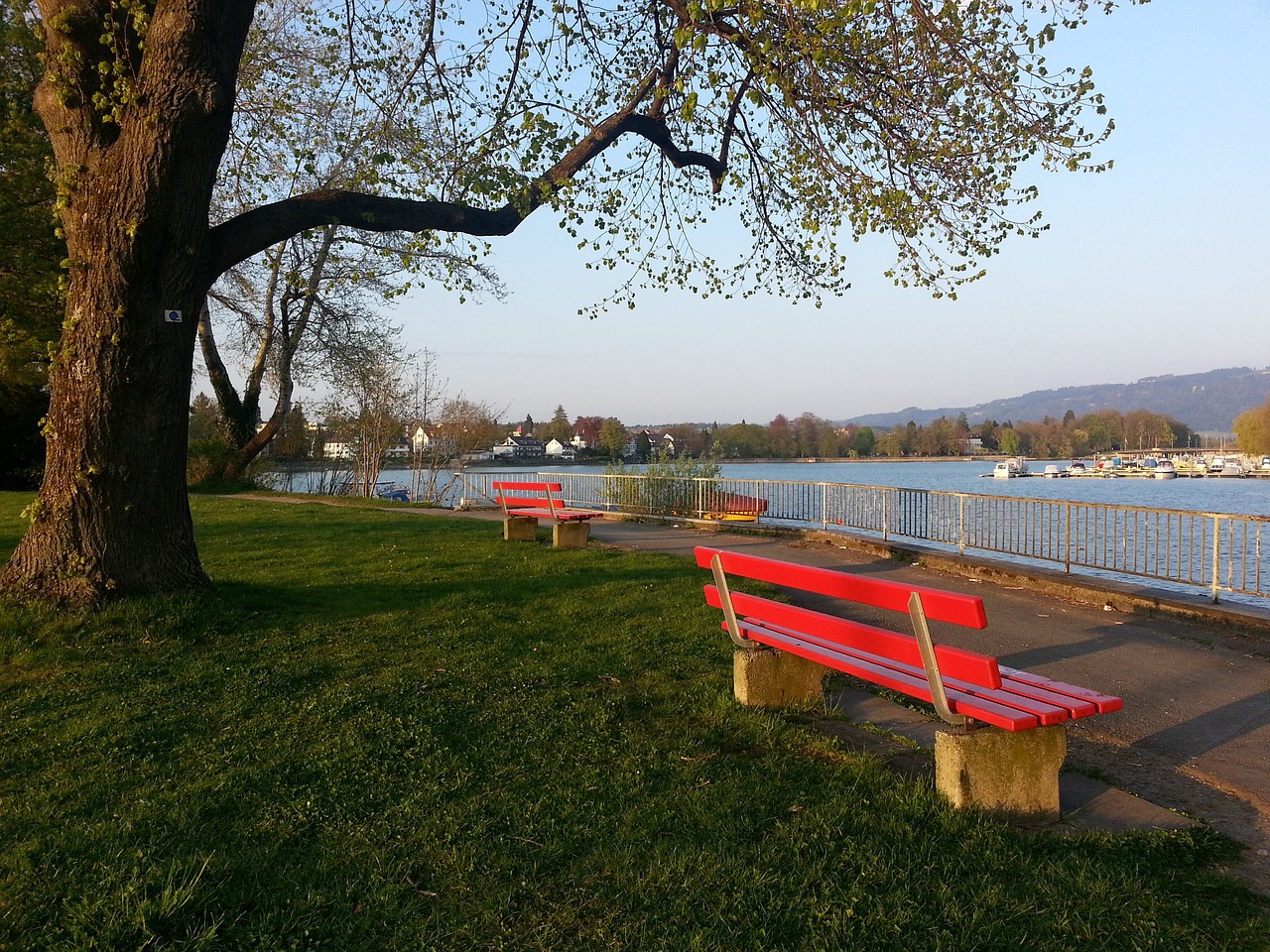 而是整体的 而是整体的