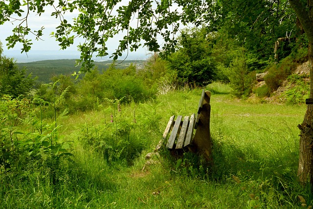 精彩表现后 精彩表现后