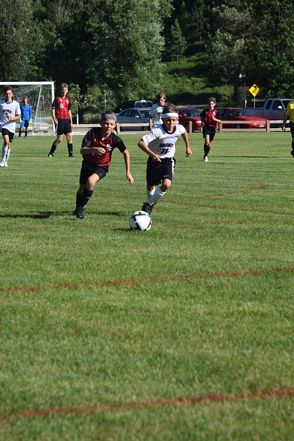 在这背后 在这背后